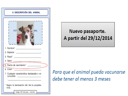 El nuevo pasaporte para perros, gatos y hurones será obligatorio a partir del día 29