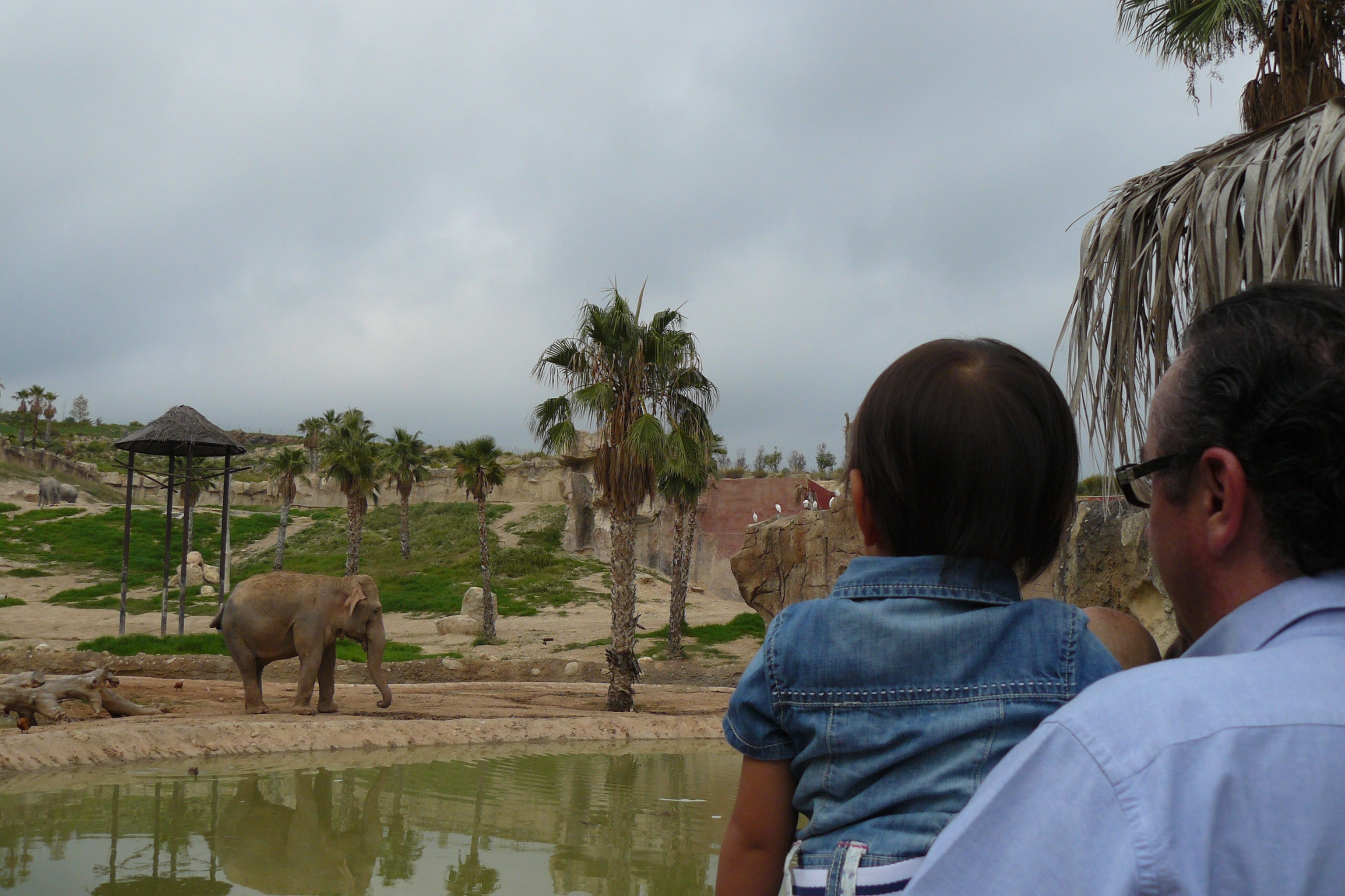 Día del Patrón en Terra Natura y celebración jubilados