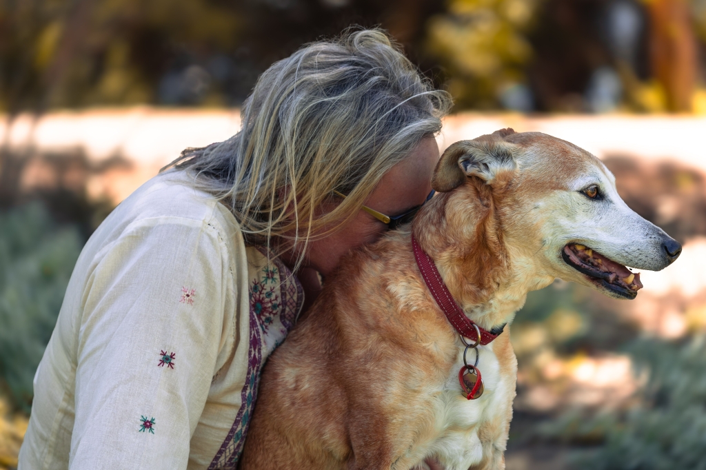 Los perros también cuidan de nuestra salud mental: la ciencia confirma el valor del vínculo humano-animal