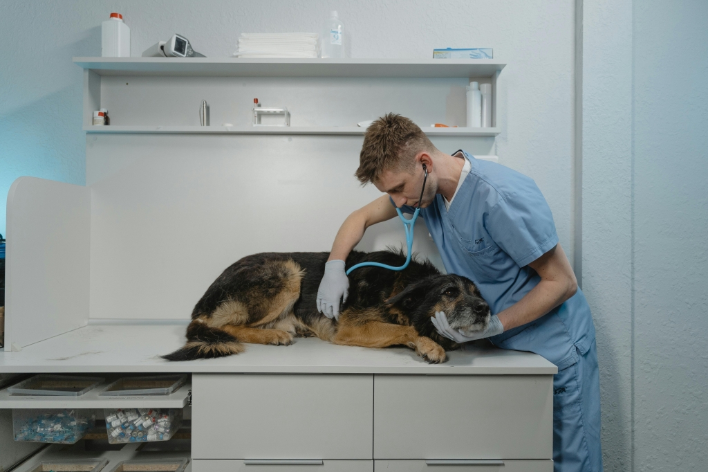 La veterinaria, la parte de la salud que casi nunca se logra ver