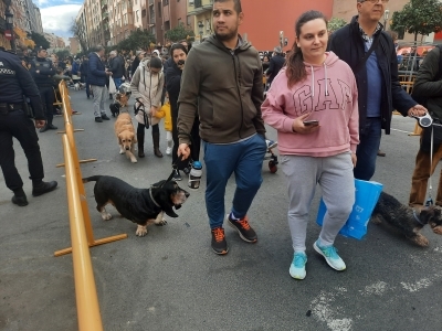 Dudas en la aplicación de la Ley 7/23 en cuanto al seguro de RC para perros