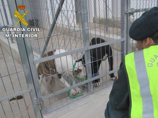 La Guardia Civil inspecciona a 17 centros de animales de Alicante y sanciona a 11 de ellos