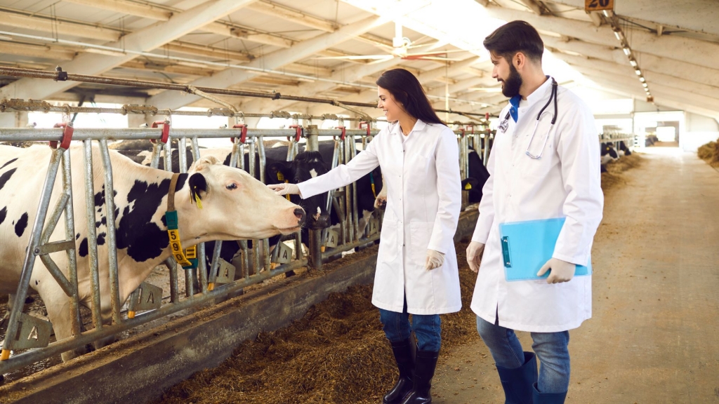 El Colegio de Veterinarios de Alicante critica la medida de eliminar la obligatoriedad del veterinario de explotación.