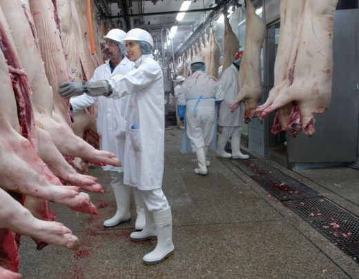 Sanitat sondea redefinir en un decreto la figura del veterinario de salud pública