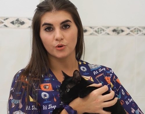 Icoval facilita sus vídeos shorts con consejos veterinarios para redes sociales