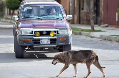 Cómo actuar tras un accidente